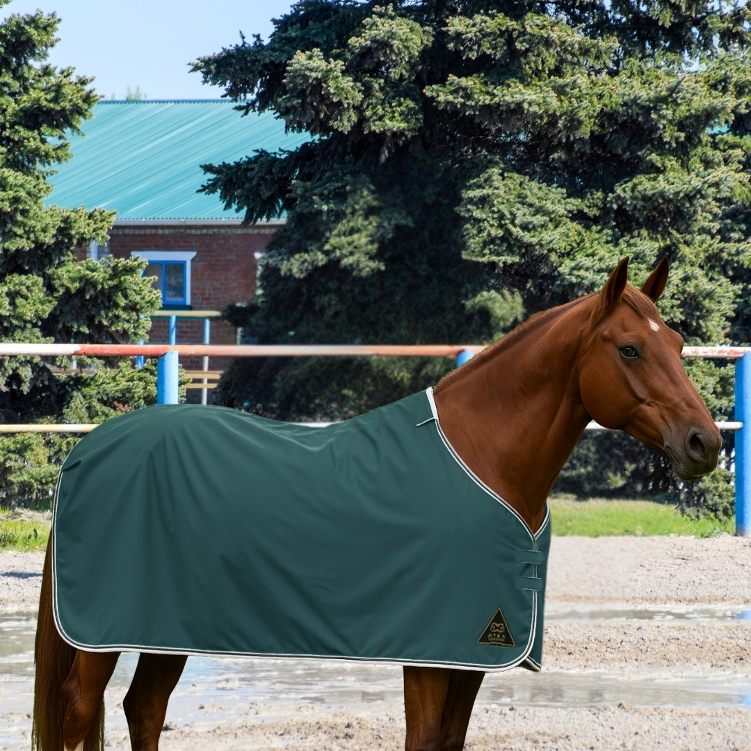 Su Geçirmez Yağmurluk Blanket, Yağmurluk Blanket - Görsel 4