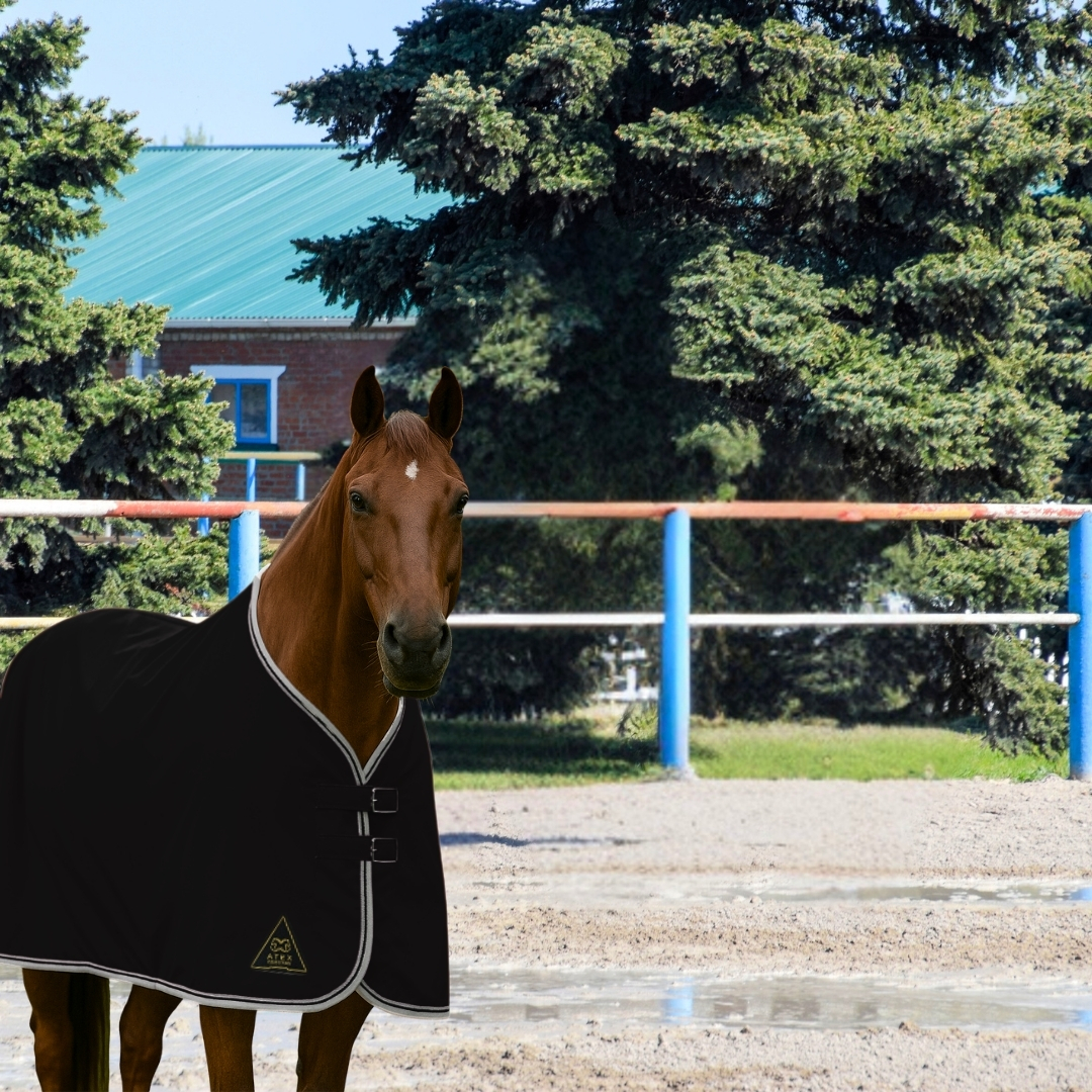 Su Geçirmez Yağmurluk Blanket, Yağmurluk Blanket - Görsel 6