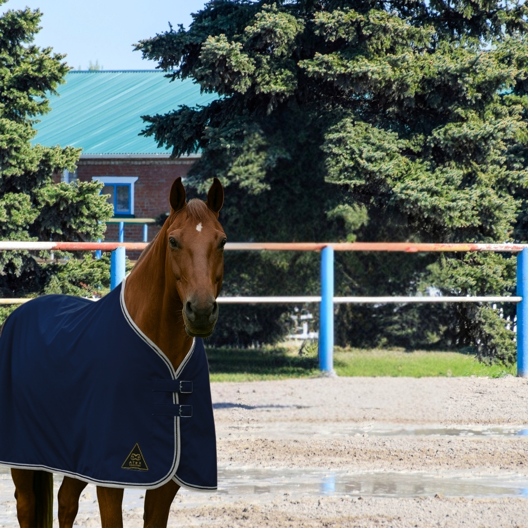 Su Geçirmez Yağmurluk Blanket, Yağmurluk Blanket - Görsel 5