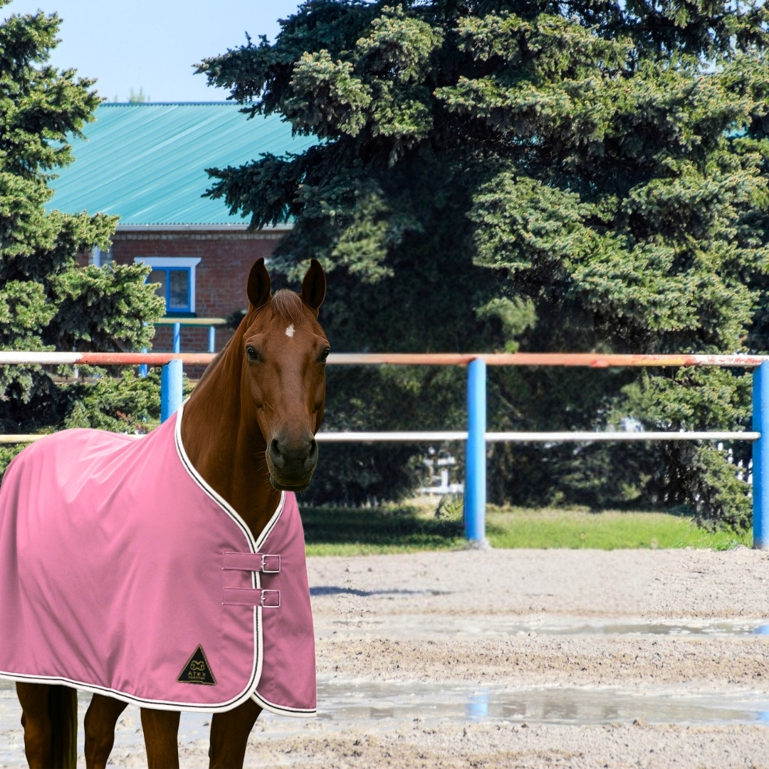 Su Geçirmez Yağmurluk Blanket, Yağmurluk Blanket - Görsel 8