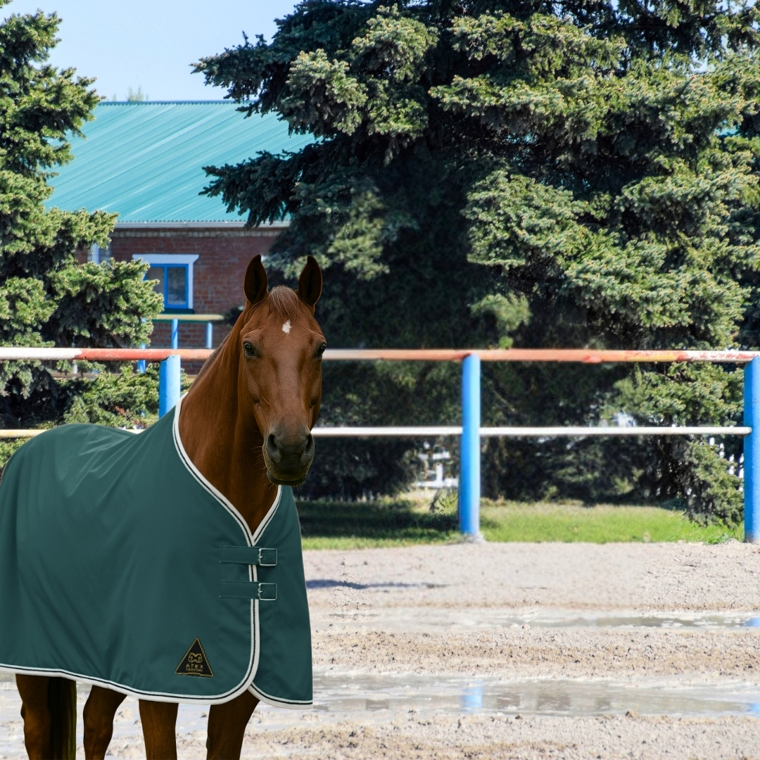 Su Geçirmez Yağmurluk Blanket, Yağmurluk Blanket - Görsel 7