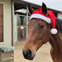 YENİYIL TEMALI KULAKLIK / ŞAPKA